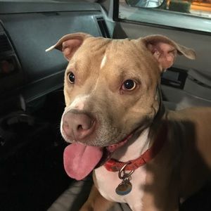 Meet your Posher, Isaac